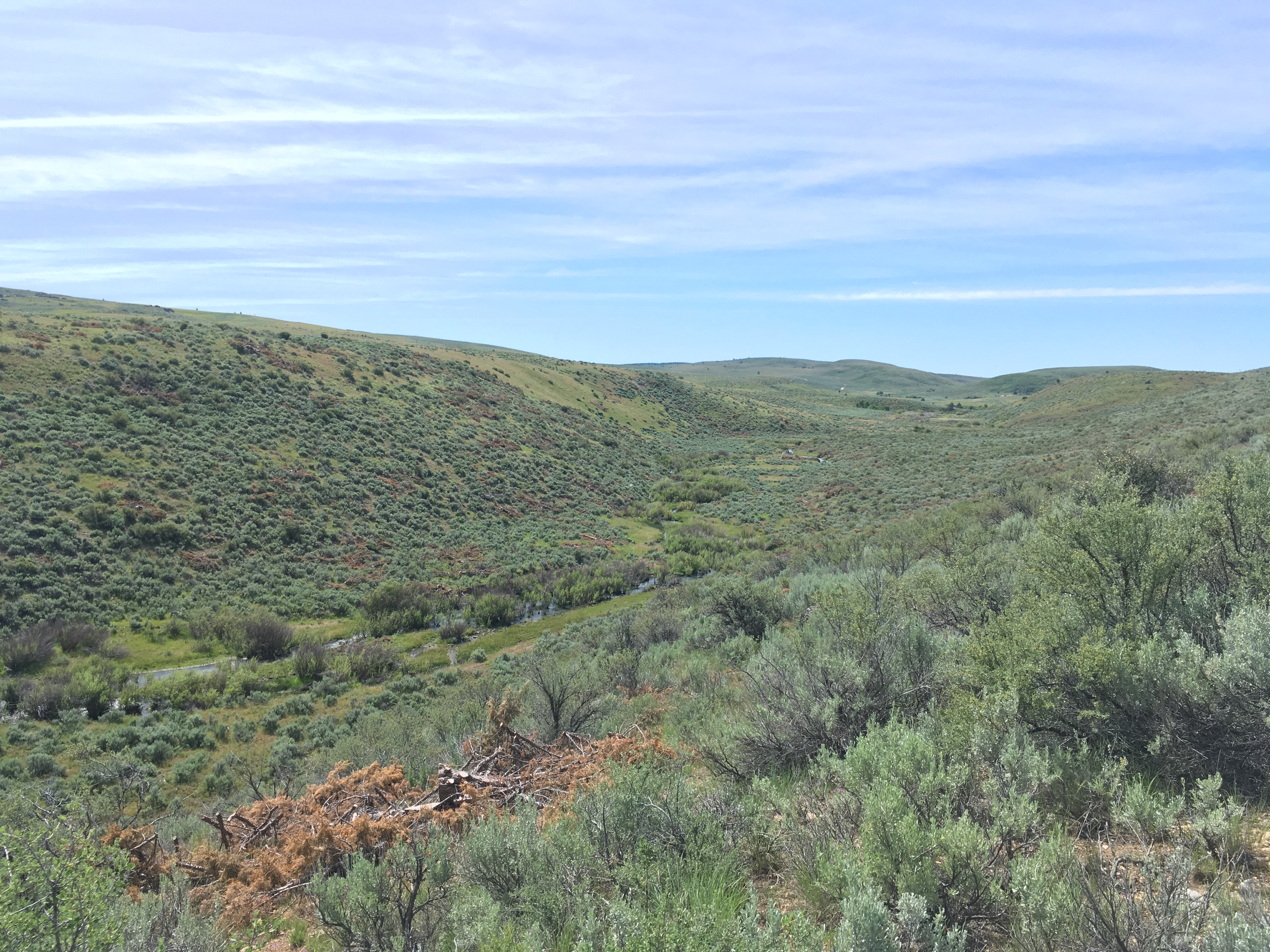 Sagebrush hills with with a small stream in between
