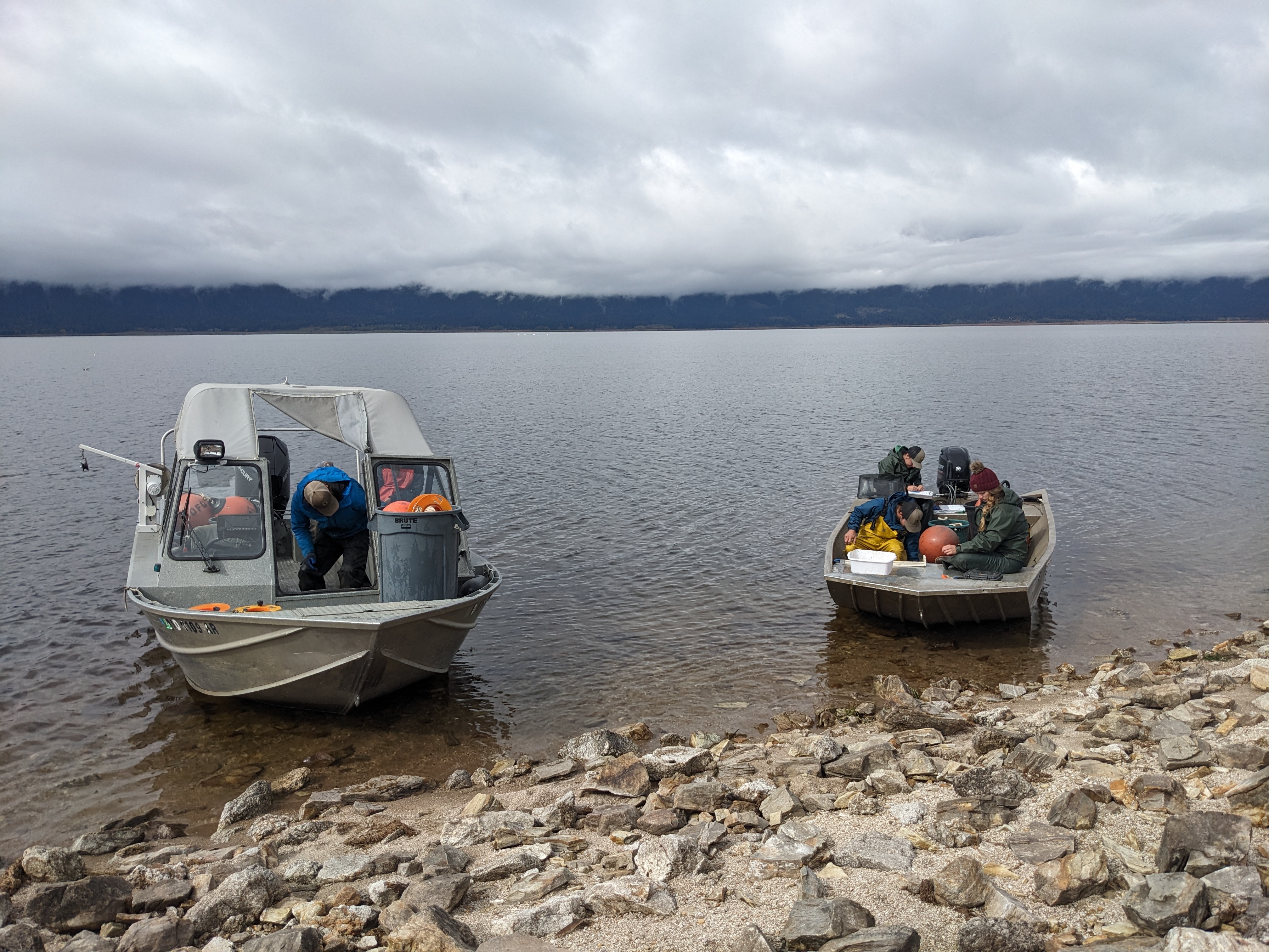 IDFG crews on Lake Cascade working up fish during the annual October gillnet survey. 