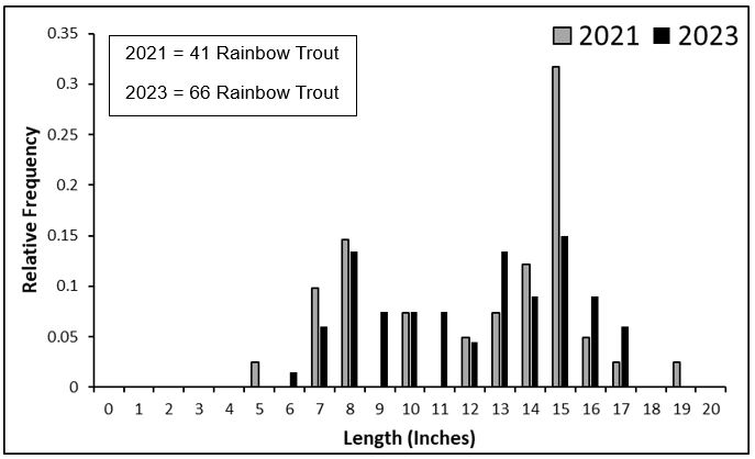 Graph showing the length ranges and proportion of catch at certain lengths of Rainbow Trout in fall 2021 and 2023 gillnetting surveys.