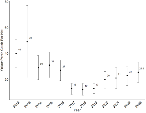 Figure 1. Catch per net of Yellow Perch from IDFG October gill net surveys on Lake Cascade from 2012 to 2023.