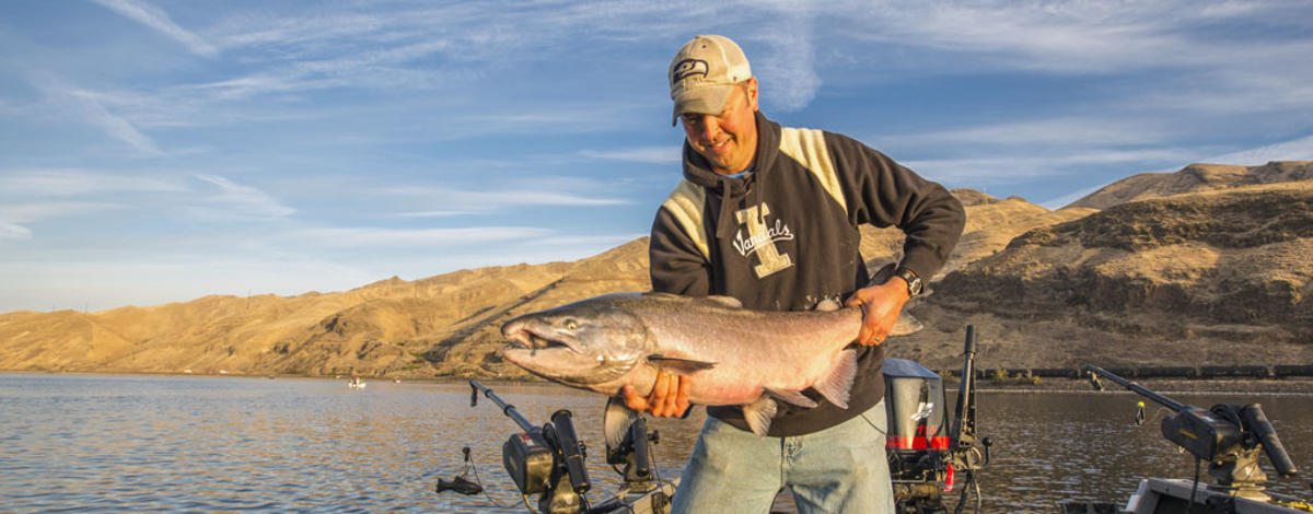 Releasing a wild Fall Chinook salmon