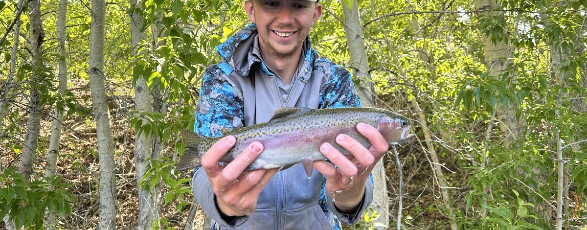 A Rainbow Trout from the 2023 Williams Lake fyke net surveys. 