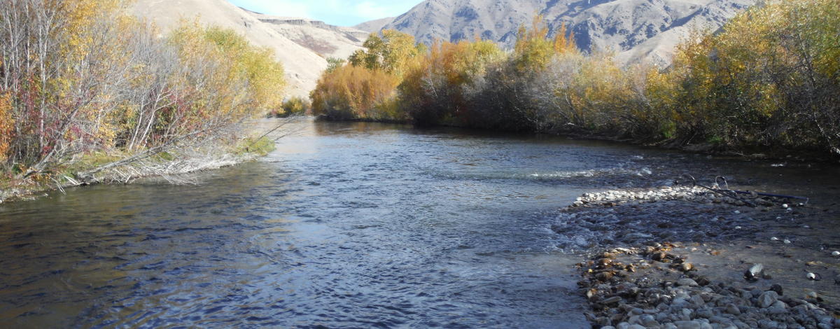 South Fork of the Boise River 10.1.17
