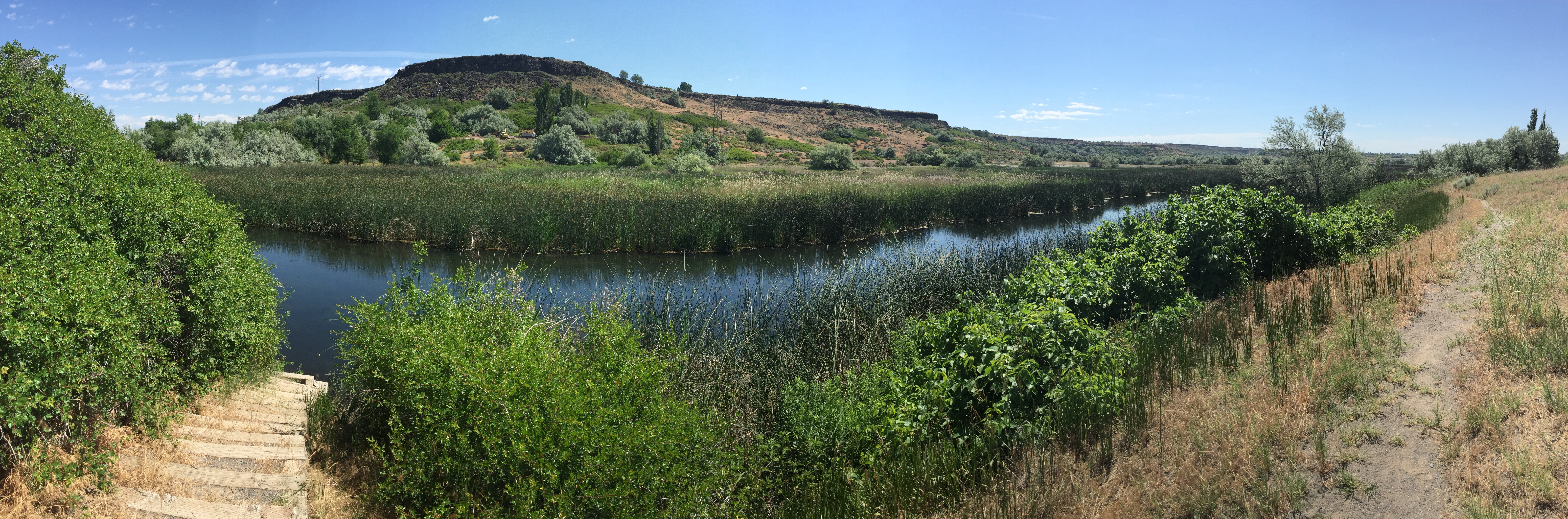 panoramic shot of Billingsley Creek June 2015