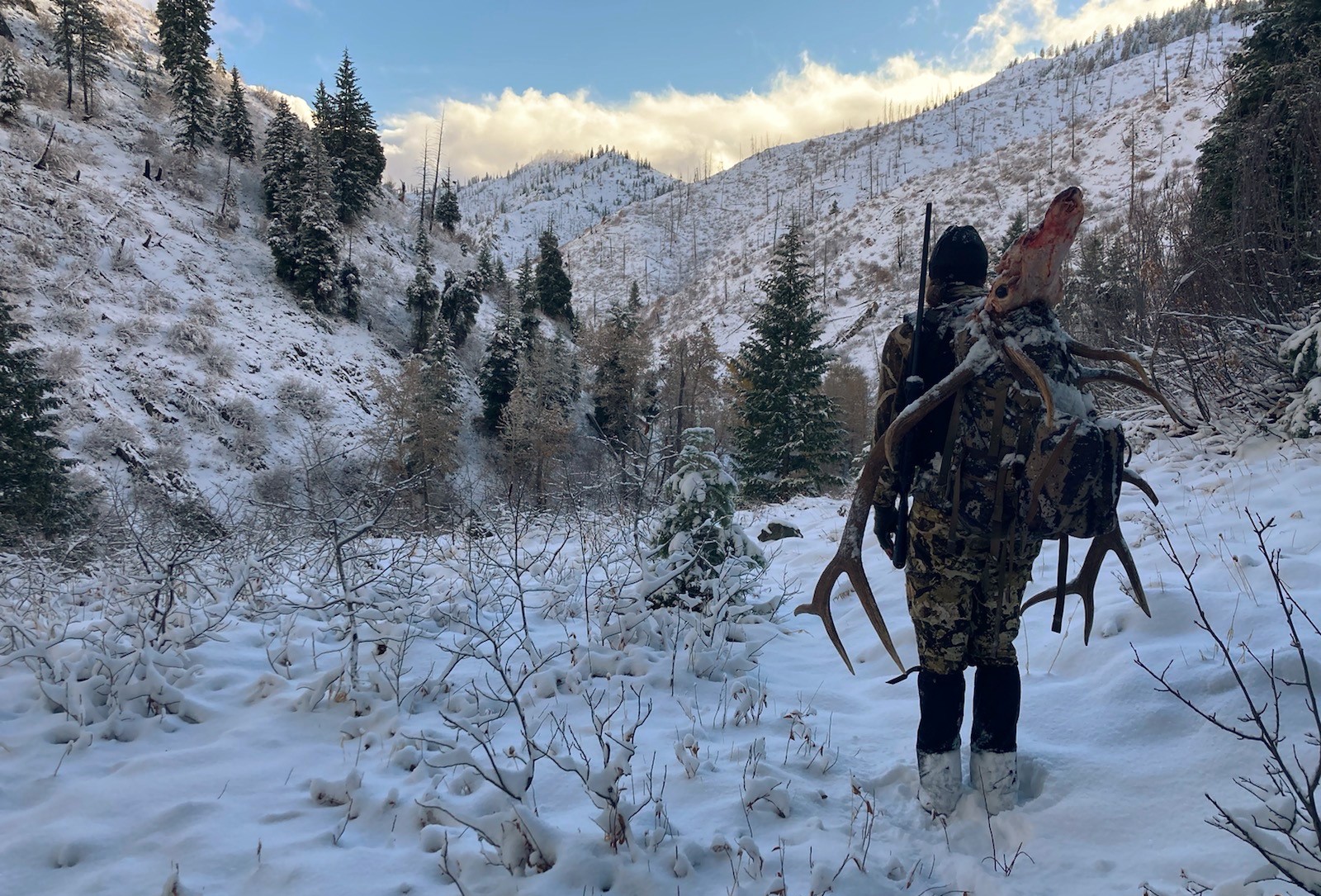 Hunter packing out skinned out elk head in the snow 2022