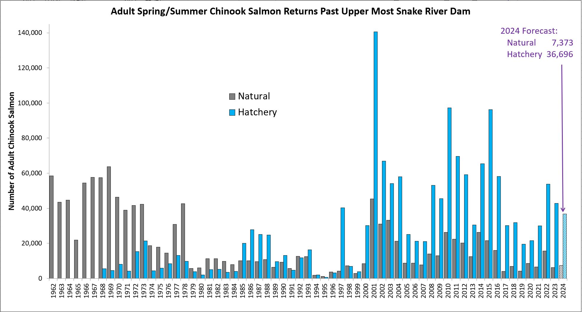 Spring Chinook Salmon returns to Idaho 1962-2024
