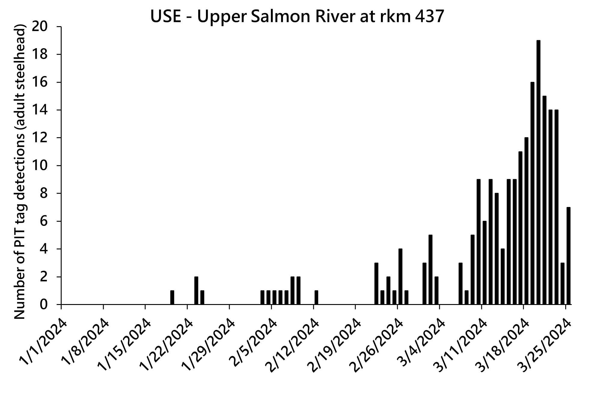 Figure showing PIT tag detections of adult steelhead at the USE site (11 miles upstream of Salmon, ID) between 1/01/2024 and 3/25/2024.