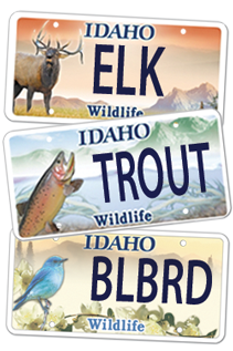 Wildlife License Plates - Get yours today!