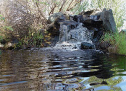 Lewiston Wildlife Habitat Area water fountain