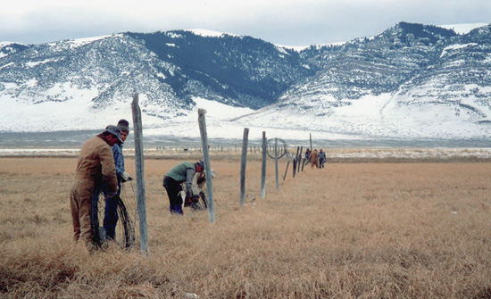 Fence crew on rangeland