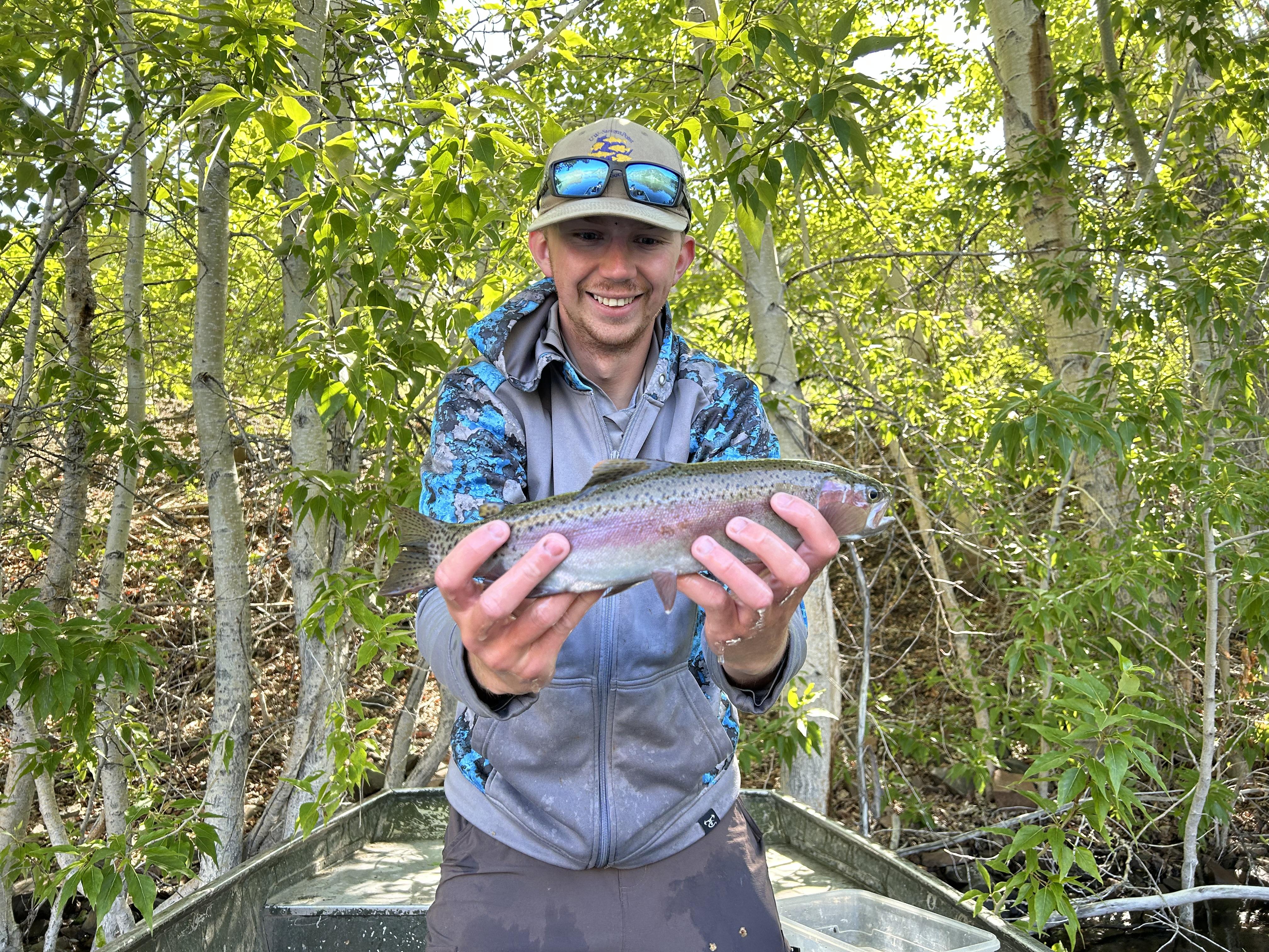 A Rainbow Trout from the 2023 Williams Lake fyke net surveys. 