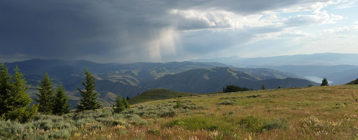 Spring rain on Andrus WMA looking from North Fork Payette, Unit 31 side