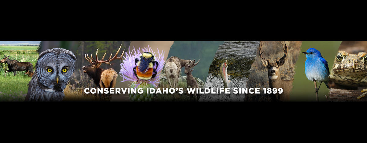 Idaho Fish and Game is celebrating it's 125th Anniversary