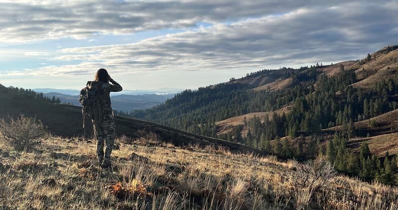 big_game_hunter_glassing_on_a_hillside_in_late_fall_1729_cropped