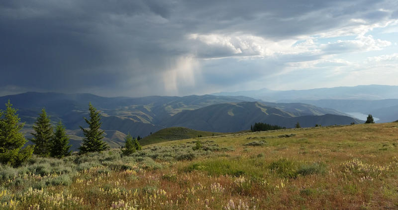Spring rain on Andrus WMA looking from North Fork Payette, Unit 31 side
