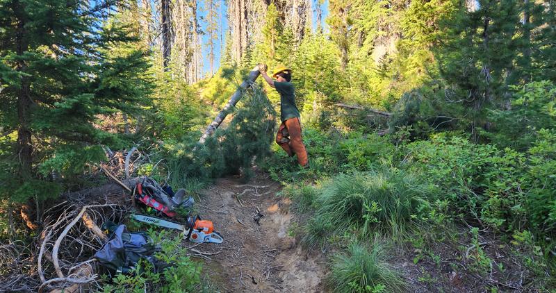 Crews clearing trail on Snow Peak WMA in 2023